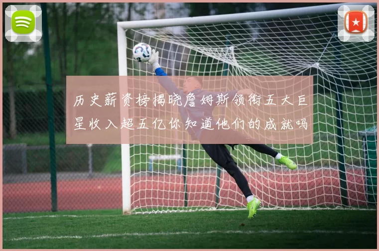 历史薪资榜揭晓詹姆斯领衔五大巨星收入超五亿你知道他们的成就吗