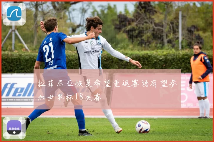 拉菲尼亚恢复希望重返赛场有望参加世界杯18决赛