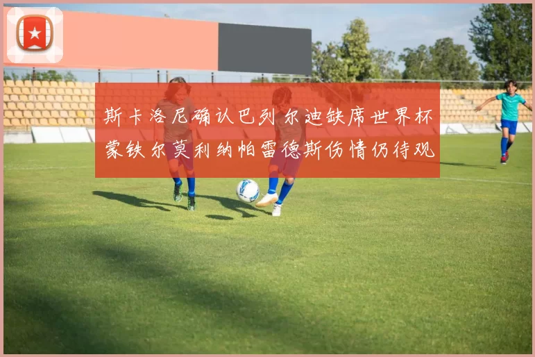 斯卡洛尼确认巴列尔迪缺席世界杯蒙铁尔莫利纳帕雷德斯伤情仍待观察